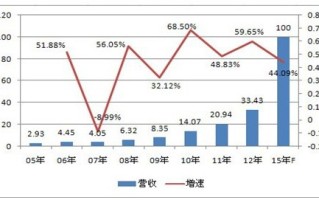 成长无忧，估值有虑——大华股份