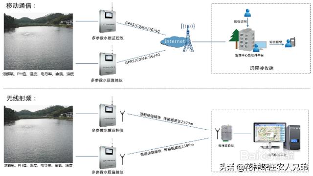 水产养殖水质在线监控如何搭建？有分析和案列分享吗？-第2张图片-深圳监控安装