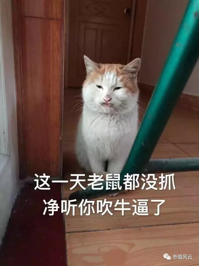 安防行业哪家做的最好？-第19张图片-深圳监控安装
