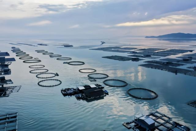海边养殖场太阳能监控安装案例分享-第1张图片-深圳监控安装