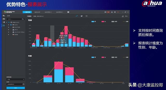 大华DSS智能监控平台介绍-第9张图片-深圳监控安装